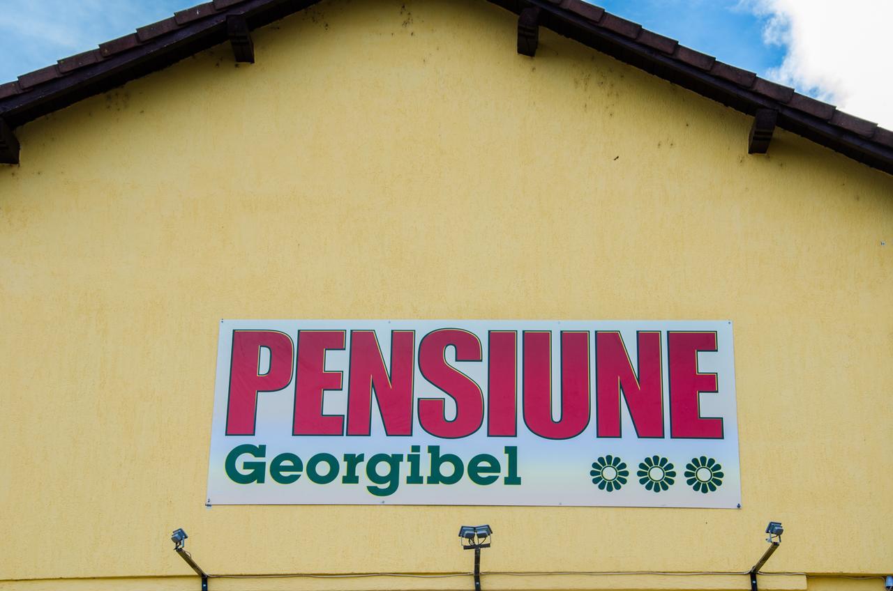 Pensiunea Georgibel 德瓦 外观 照片